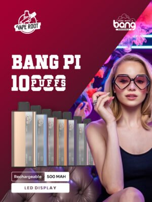 Bang PI10K Puffs 0% 2% 3% 5% Nikotin wiederaufladbar