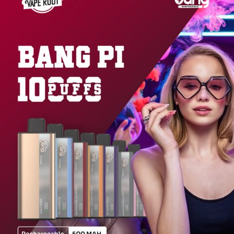 Bang PI10K bouffées 0% 2% 3% 5% Nicotine rechargeable