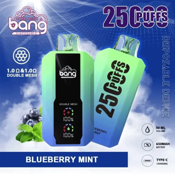 Bang 25000 Puffs 0% 2% 3% 5% Nicotine New LED Display Vape Electronic Cigarette Pod