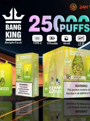 vape-Bang-king-25000-puffs00008-654×690.jpg