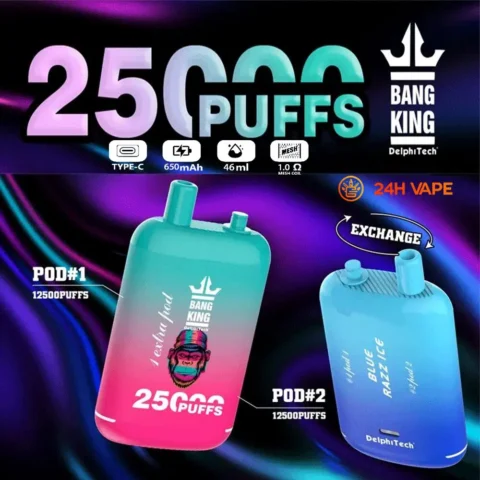 Bang King 25000 Puffs 0% 2% 3% 5% Nicotine Double Warehouser Disposable Vape Pod