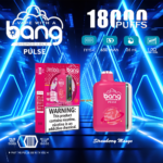 Bang Pulse 18000 Puffs Dual Mesh Disposable Vape Electronic Cigarette Pod