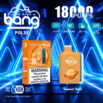 Bang Pulse 18000 Puffs Dual Mesh Disposable Vape Electronic Cigarette Pod