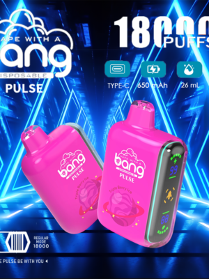 Bang Pulse 18000 Puffs Dual Mesh Disposable Vape Electronic Cigarette Pod