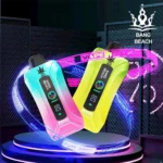 Bang Beach 20000 20K Puffs 0% 2% 3% 5% Nicotine New LED Display Vape Electronic Cigarette Pod