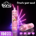 Bang SHISHA 15000 Puffs Disposable Electronic Cigarette New Vape Pen