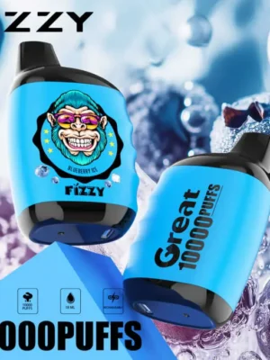 FIZZY Great 10000 10K Puffs 2% 5% Nicotine Disposable Vape