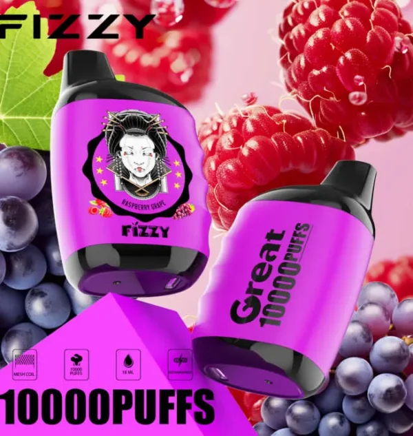 FIZZY Great 10000 10K Puffs 2% 5% Nicotine Disposable Vape