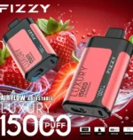 Fizzy LUXURY 15000 15k Puffs Disposable Vape LED Wholesale