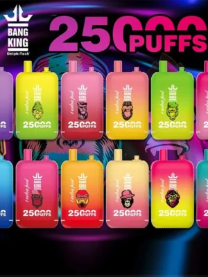 Bang King 25000 Puffs 0% 2% 3% 5% Nicotine Double Warehouser Disposable Vape Pod