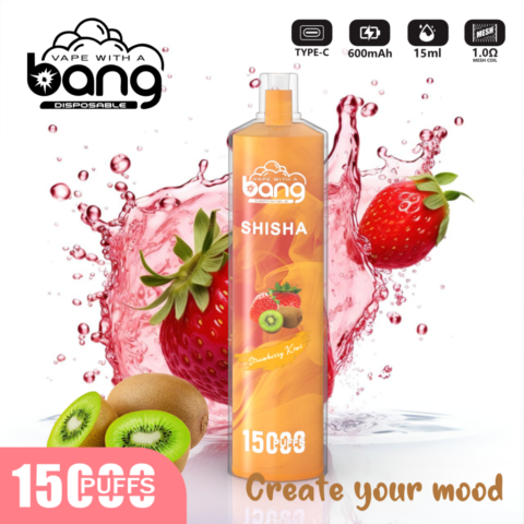 vape_Bang_shisha_15000_puffs