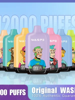 Waspe-Digital-Box-12000Puffs