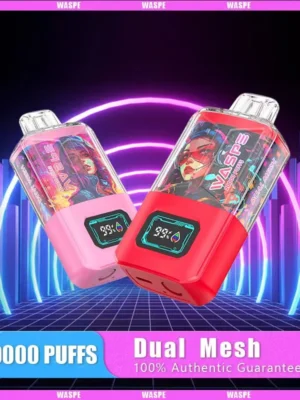 Waspe 20000 20K Puffs Dual Mesh Wholesale Vape